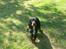 Gordon setter don olsen R.I.P (4/8-09) 