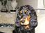 Cocker spaniel Sille<33 - nuu<33