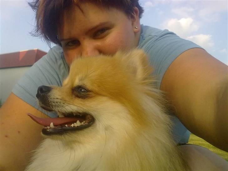 Pomeranian Schakie <3 - Min egen billede 7