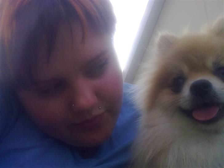 Pomeranian Schakie <3 - Min egen - se så fine vi er mor :D billede 9