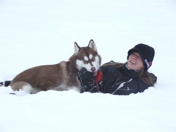 Siberian husky Lúa - Lúa og Nicolai i sneen - 2010 billede 18