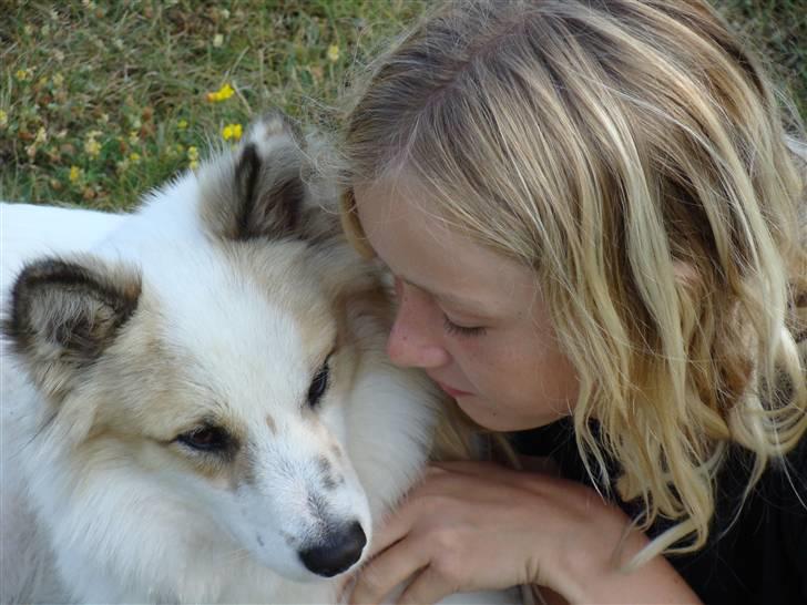 Norrbottenspids Sofus - Os 2 for altid ! <3 billede 15