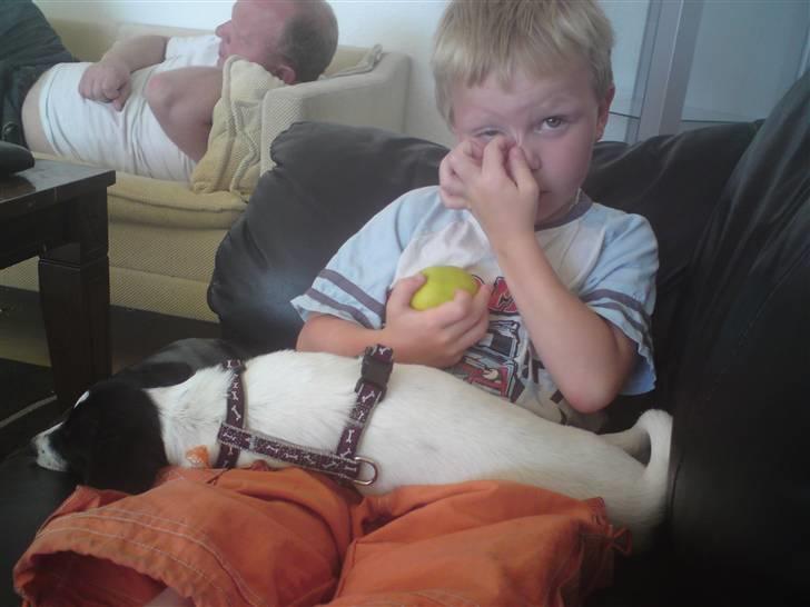 Dansk svensk gaardhund Freya - Benjamin var nu sød at putte ved ;o) billede 2