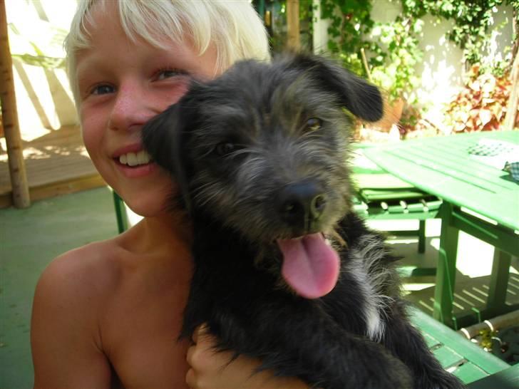 Blanding af racer Mons billede 4