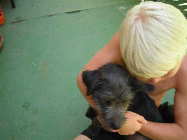 Blanding af racer Mons billede 5