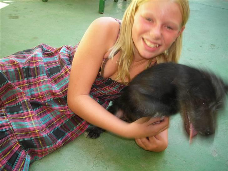 Blanding af racer Mons billede 8