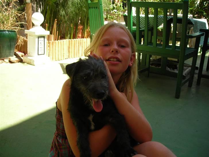 Blanding af racer Mons billede 9