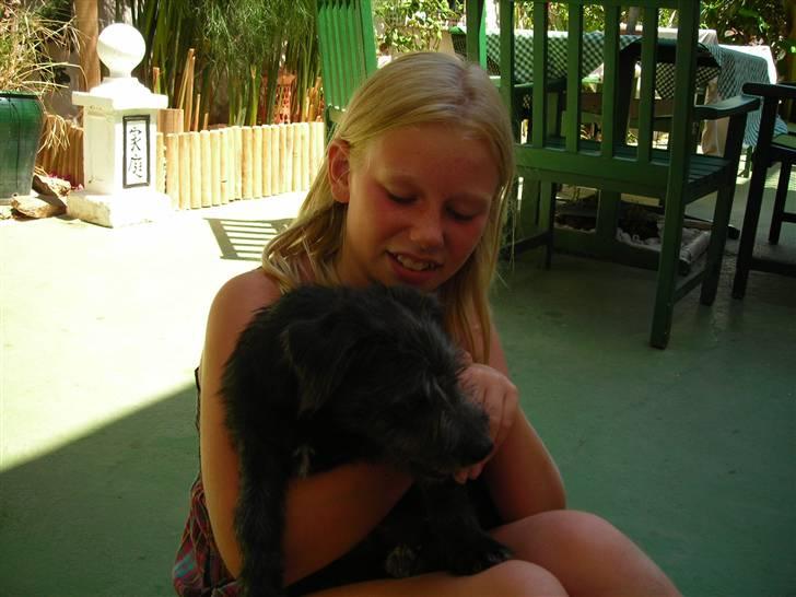 Blanding af racer Mons billede 10