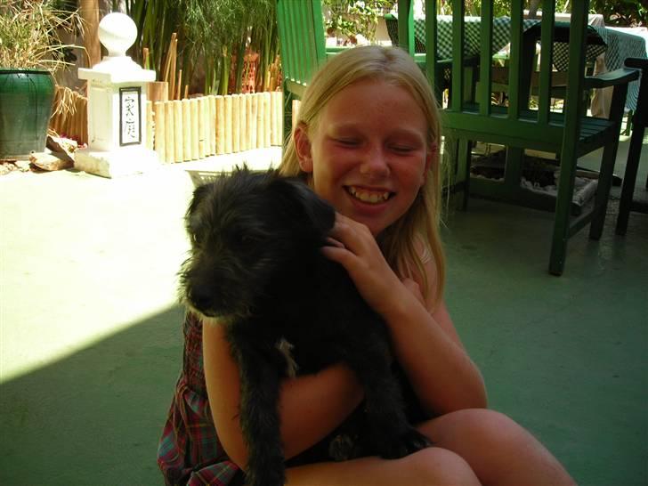 Blanding af racer Mons billede 11