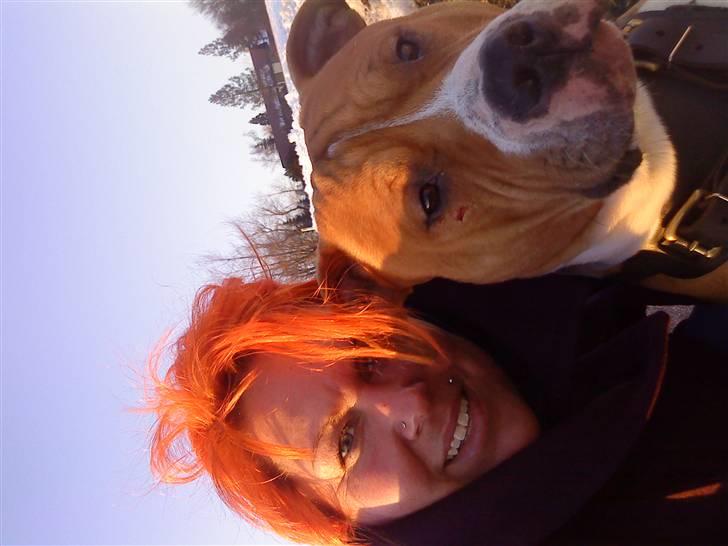 Amerikansk staffordshire terrier KAYO  ( R.I.P. ) - min mor og jeg, hun prøver at ligne mig med det orange hår... billede 7