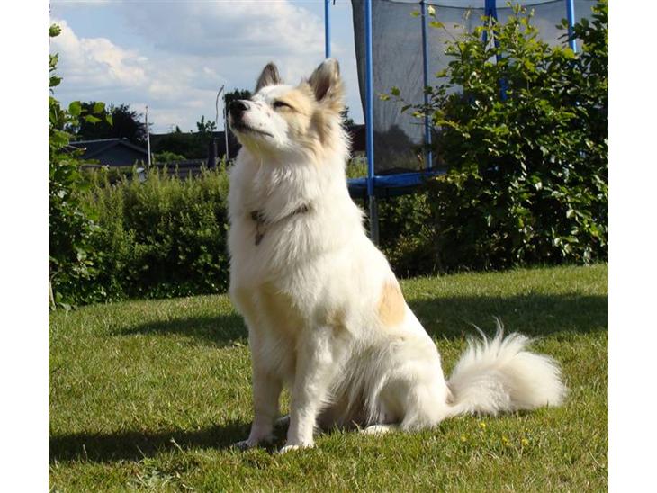 {{currentPhoto.altText}} billede {{currentPhoto.number}}