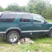 Alaskan malamute Shadow *R.I.P* ;'(