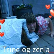 Schæferhund Koldbakken´s Xenia