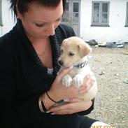 Blanding af racer Cayla