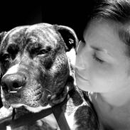 Blanding af racer Chucky (01.01.06)