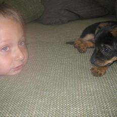 Blanding af racer Fifi