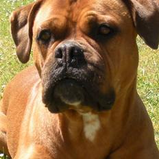 Blanding af racer Fatty - R.I.P