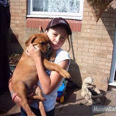 Blanding af racer Fatty - R.I.P