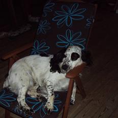 Blanding af racer Otto