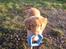 Nova scotia duck tolling retriever Haldor *DØD*