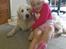 Golden retriever Catithre Paw(Rocky)