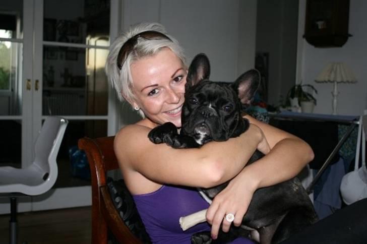 Fransk bulldog Giz billede 6