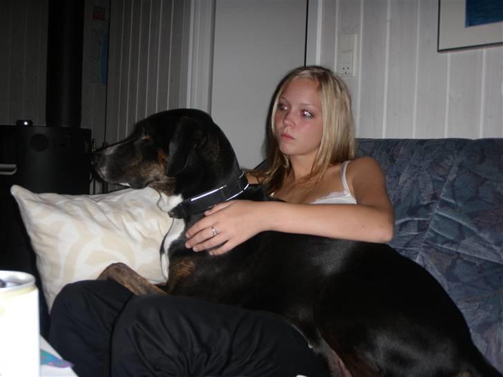 Blanding af racer Laiko - Laiko og Natasja hygger billede 6