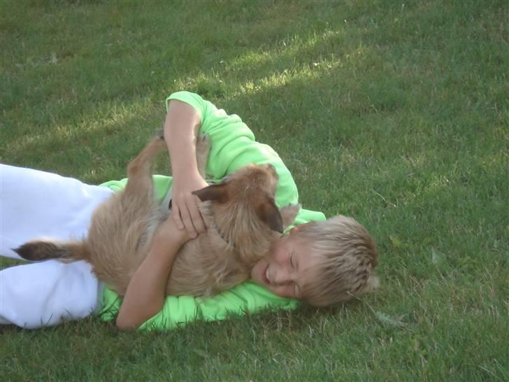 Blanding af racer Thjecco - Patrick og mig i leg billede 15