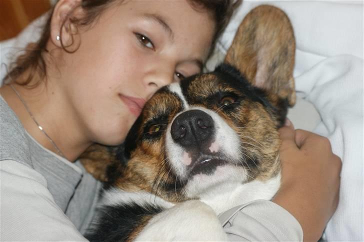 Welsh corgi cardigan Team Ulrich's Haps - min bedsteveninde pernille og bailey-bassen (eller bebse som han bliver kaldt xD ) silkeborg, danparcs..fætter-kusine fest..mega hygge :D  billede 5