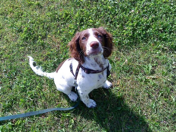 Blanding af racer Minne Sota - #7 Er jeg ikke dygtig ? Foto: Federica Bertucci :D billede 7