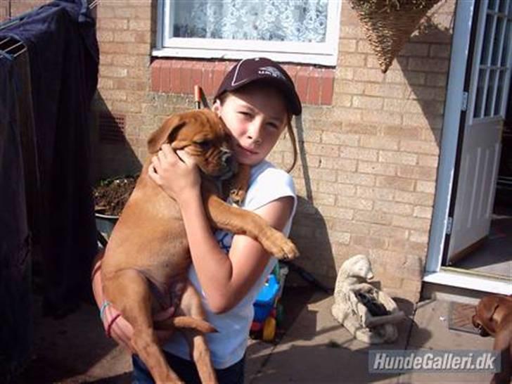 Blanding af racer Fatty - R.I.P billede 3