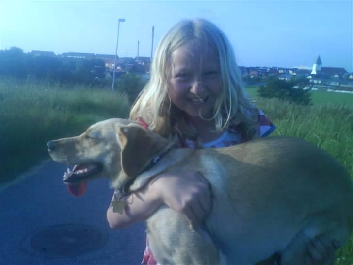 Blanding af racer Emsi - Ej så tung er jeg heler ikke >:( billede 19