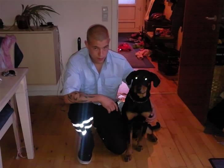 Blanding af racer zim sam - on duty billede 11