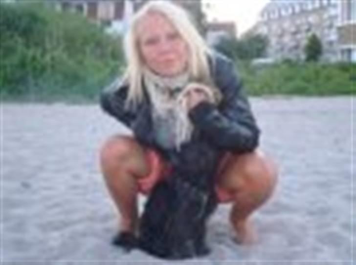 Amerikansk staffordshire terrier Bente - Bente med sin "bonus mor" og søde Skatty billede 20