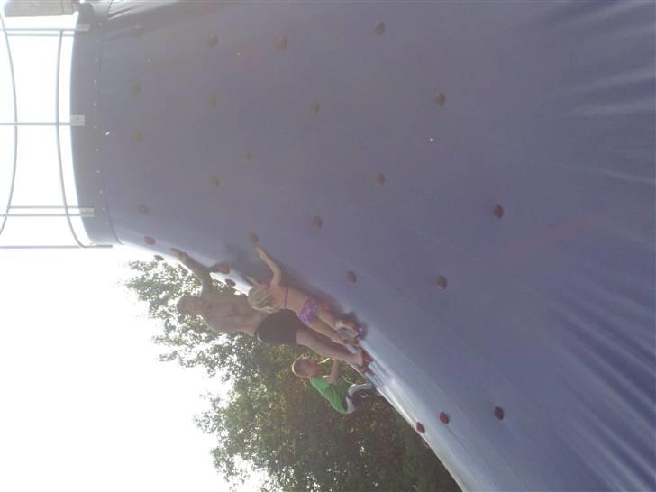 Central asiatisk Ovcharka Tøsen billede 3