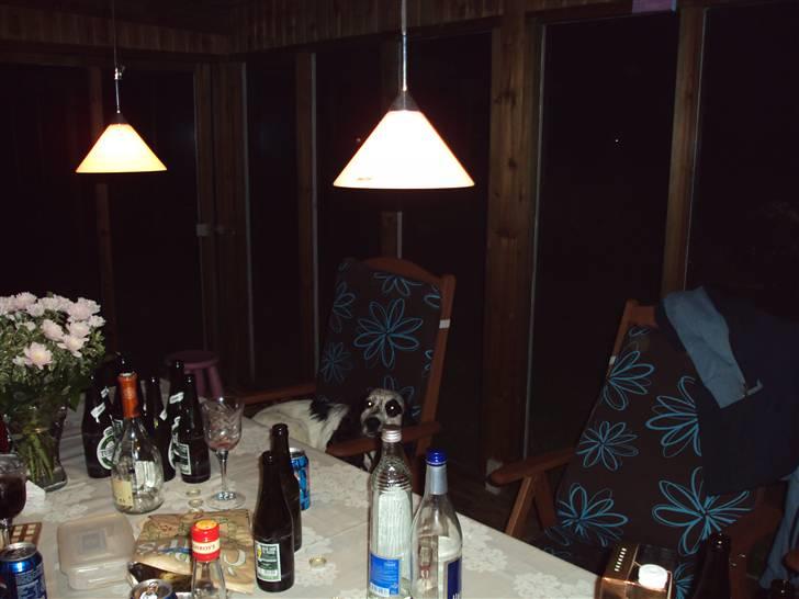 Blanding af racer Otto billede 5