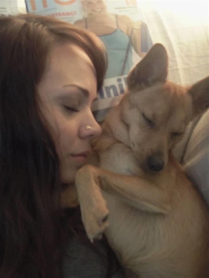 Blanding af racer Emil billede 9