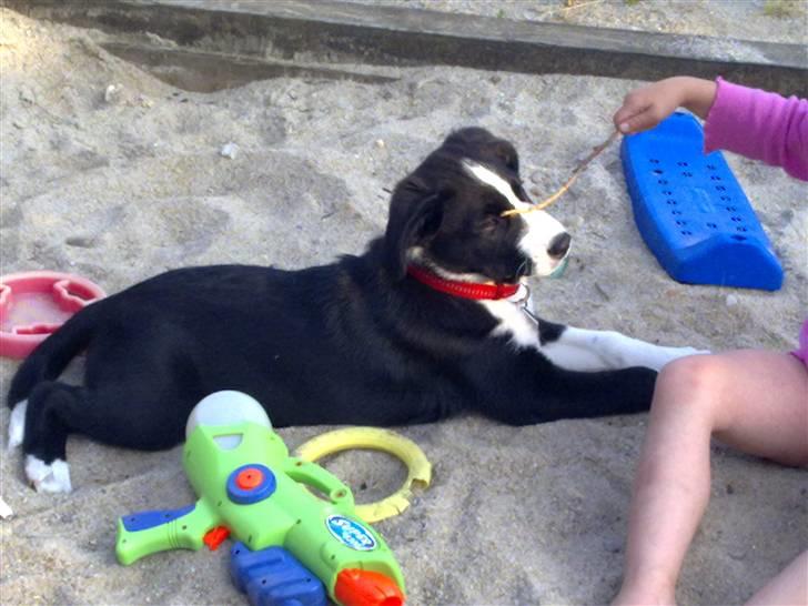 Blanding af racer Diva - Hvad er det du har der i hånden Laura?? billede 2