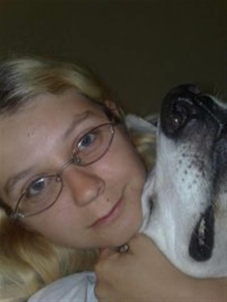 Hvid schæfer bella R.I.P billede 16