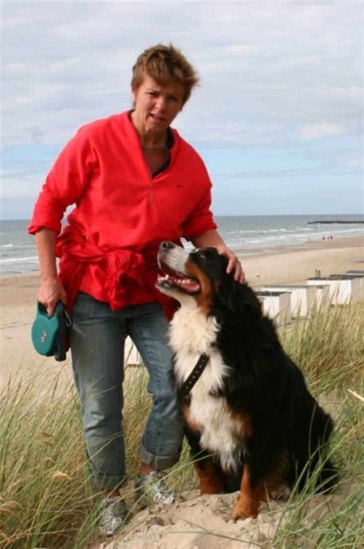 Berner sennenhund gainits asalie - nr. 6 min mor og gaia på stranden(: billede 6