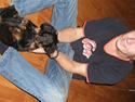 Gordon setter shef