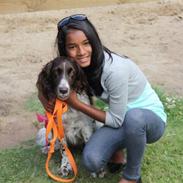 Kleiner münsterländer søndergaards mille.