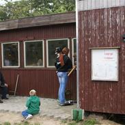 Boxer Von Drekise Stachy R.I.P