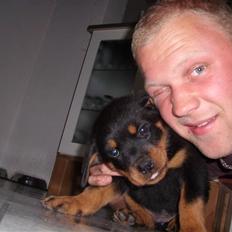 Rottweiler Zita Elvira Andersen