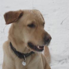 Blanding af racer Nanna