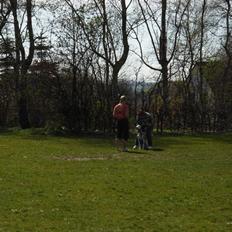 Dalmatiner Valde*himmel hund* :'(<3