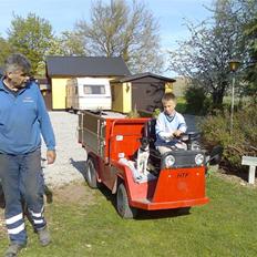 Dansk svensk gaardhund Tjørnely's Luna