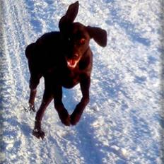 Blanding af racer charlie 