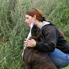 Boxer Von Drekise Stachy R.I.P