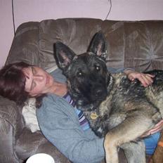 Schæferhund :RIP: bozan <3